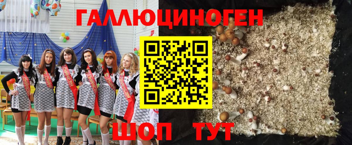 Мариинск  Галлюциногенные грибы прущие грибы  Вход с VPN 